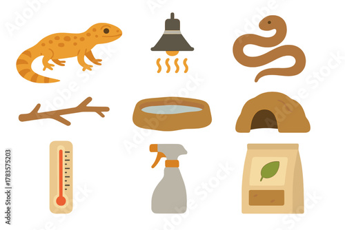 Essential equipment and accessories for reptile pet care in a terrarium habitat