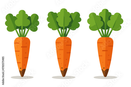 Three bright orange carrots with green foliage standing vertically on a white surface