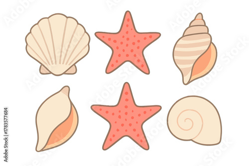 Collection of decorative marine life elements featuring various seashells and colorful starfish