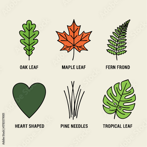 green eco leaf icon set vector illustration
