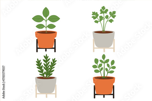 Four potted herbs and houseplants displayed on modern stands