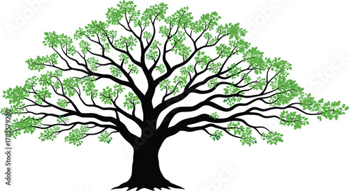 PrintStylized tree illustration, green leaves, black trunk, nature design, symmetrical branches, vector clipart, eco concept, isolated background, foliage art