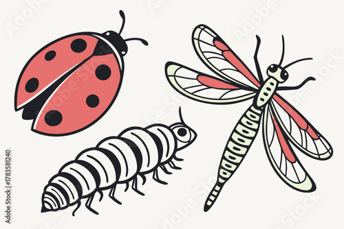 vector illustration of a ladybug