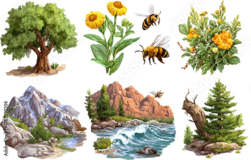 Eco-Adventure: Nature's Bounty Pack