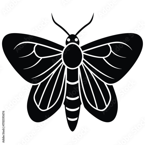 moth vector icon