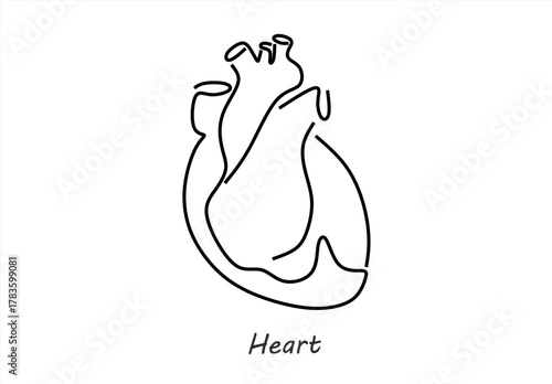 Minimalist Line Drawing of a Human Heart