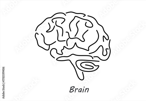 Minimalist Line Art Human Brain