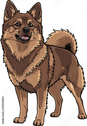 German Spitz dog standing facing front cute vector illustration