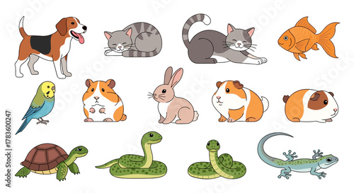 Collection of cartoon pets including a dog cats fish bird guinea pigs rabbit snakes turtle lizard