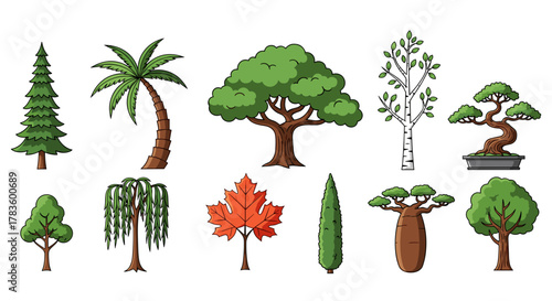 Illustration of various tree types including pine, palm, maple, and bonsai on a white background
