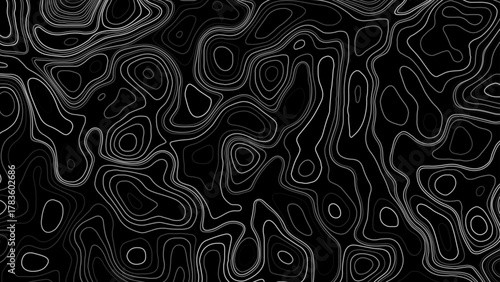 Abstract Topography line poster vector. The concept of a topographic contour geography scheme and the terrain path.	