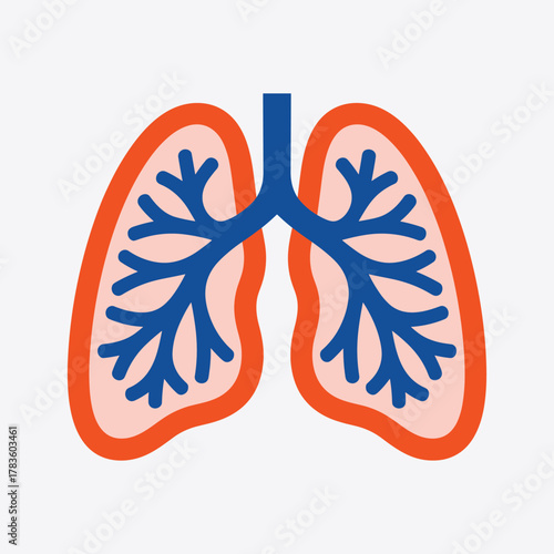 Stylized illustration of human lungs with blue bronchi and orange outer shape on a light gray background.