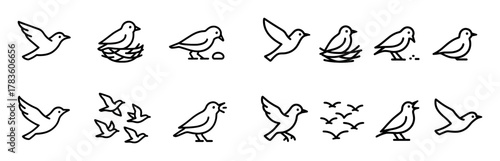 Migratory Bird Icons
