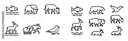 Animal Migration Icons