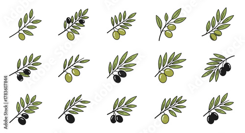 Set of 15 stylized olive branches with green and black olives, presented in a clean, vector cartoon illustration style on a white background, perfect for branding, logos, and design elements related