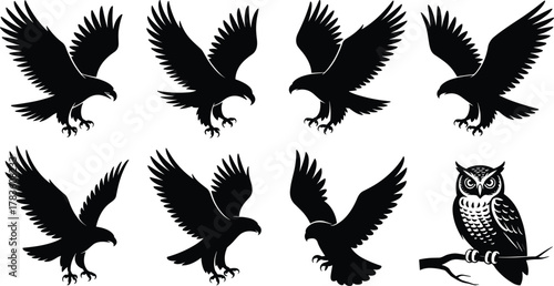 Bird of prey eagle hawk owl silhouette flying perched wings spread raptor wildlife predator nature symbol freedom strength illustration vector