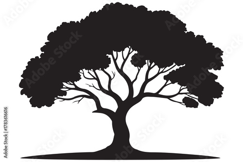 Large tree silhouette icon with spreading branches and dense foliage in bold black design
