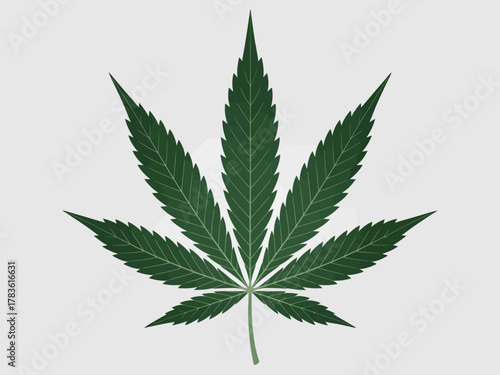 A detailed illustration of a cannabis leaf, highlighting its unique shape and texture, perfect for representing themes of nature, wellness, and natural remedies.