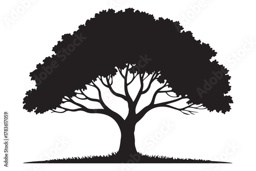 Large tree silhouette icon with spreading branches and dense foliage in bold black design
