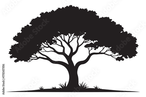 Large tree silhouette icon with spreading branches and dense foliage in bold black design
