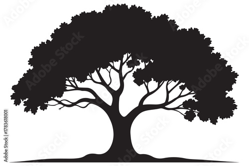 Large tree silhouette icon with spreading branches and dense foliage in bold black design
