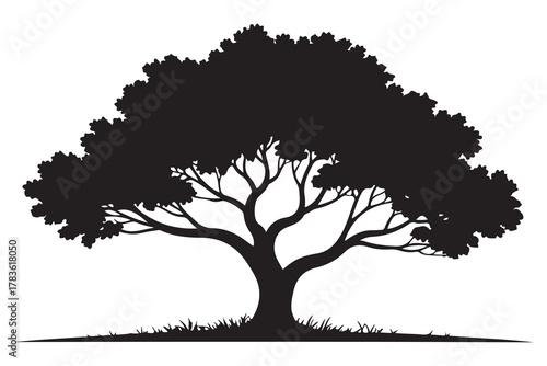 Large tree silhouette icon with spreading branches and dense foliage in bold black design
