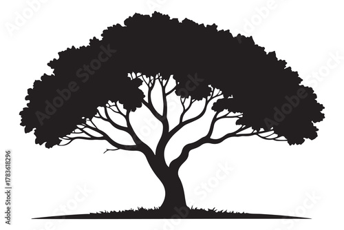 Large tree silhouette icon with spreading branches and dense foliage in bold black design
