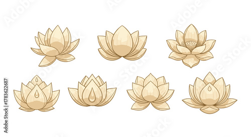 Set of seven elegant golden lotus flowers in various stages of bloom, presented as a clean vector cartoon illustration on a white background, perfect for beauty, spa, and wellness branding