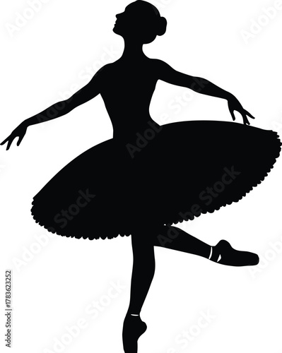 Elegant ballerina silhouette, graceful ballet dancer pose, tutu costume, en pointe balance, classical dance art, performance, beauty, poise, movement, stage