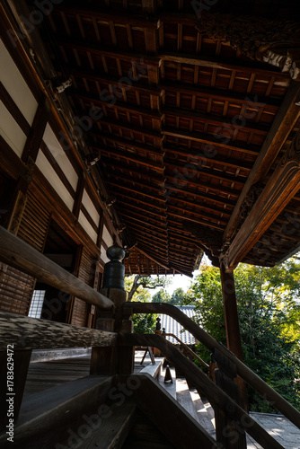日本、京都、清涼寺、紅葉、秋、絶景、寺院、文化財、木造建築、古代建築、日本文化、歷史名勝、文化財、木、綠色、青空、写真素材