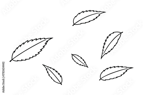 Outline hand drawn doodle falling leaves