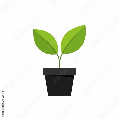 Green Plant in Black Flowerpot Icon – Minimal Botanical Growth Symbol on White Background