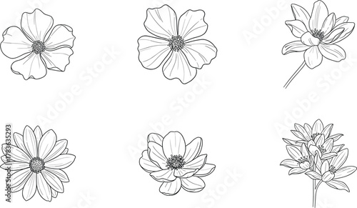 Botanical flower sketch, black and white line art, petal texture detail, floral variety, cad drawing, flat vector illustration
