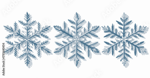 An elegant design featuring artistic snowflakes composed of intricate leaf patterns, celebrating the beauty of winter and nature's serene artistry.