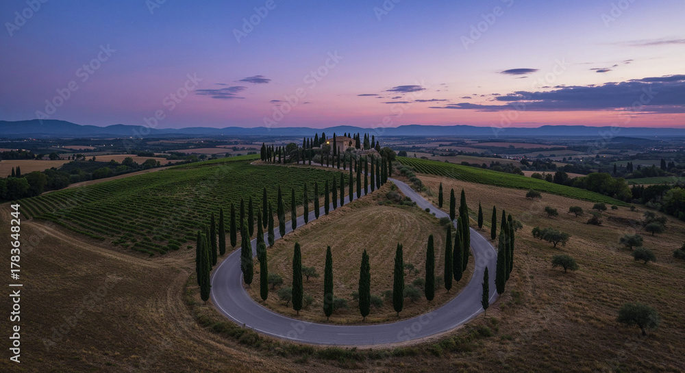 Fototapeta premium Road Through Tuscany-Style Vineyard Hills Aerial Photography