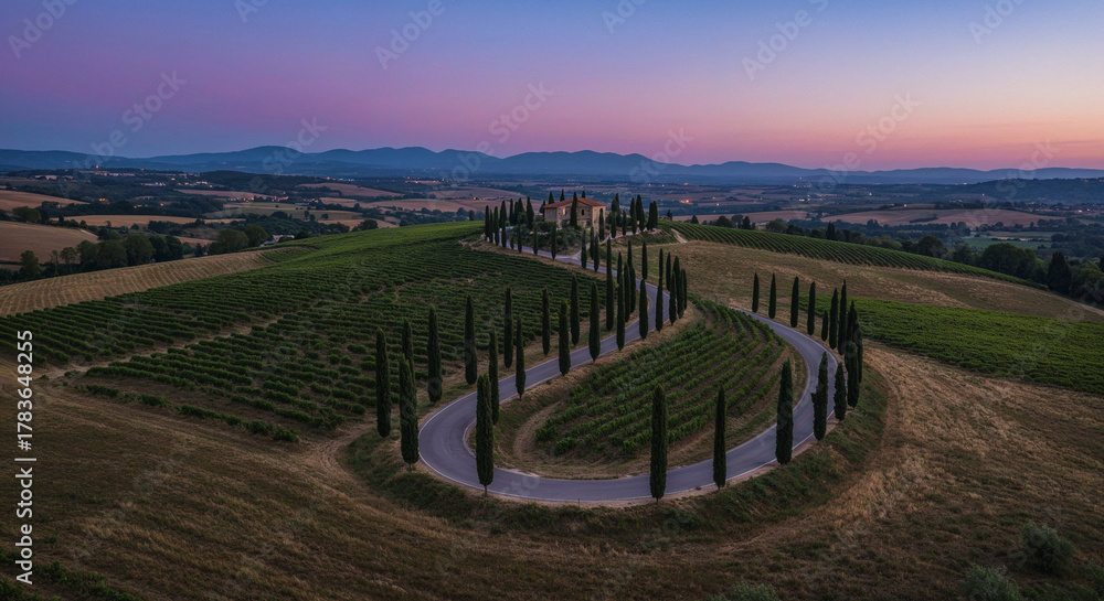 Naklejka premium Road Through Tuscany-Style Vineyard Hills Aerial Photography