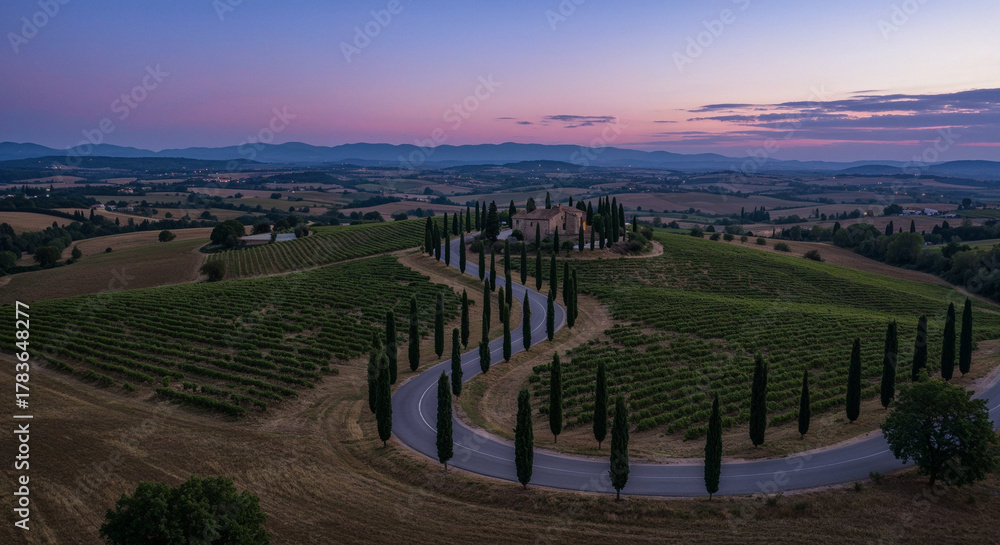 Fototapeta premium Road Through Tuscany-Style Vineyard Hills Aerial Photography