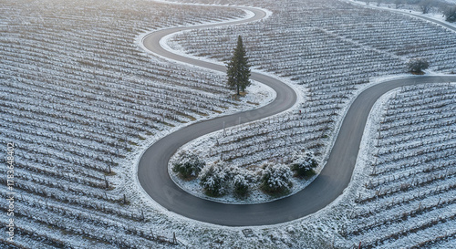 Road Through Tuscany-Style Vineyard Hills Aerial Photography