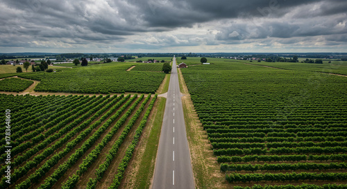 Road Through Tuscany-Style Vineyard Hills Aerial Photography