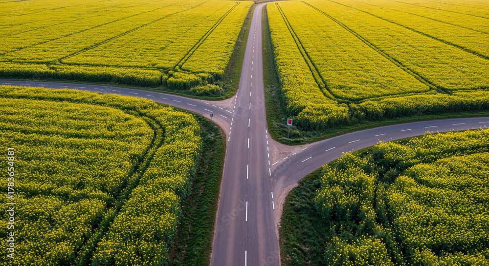 Fototapeta premium Spring Rapeseed Bloom with Rural Road Aerial Photography
