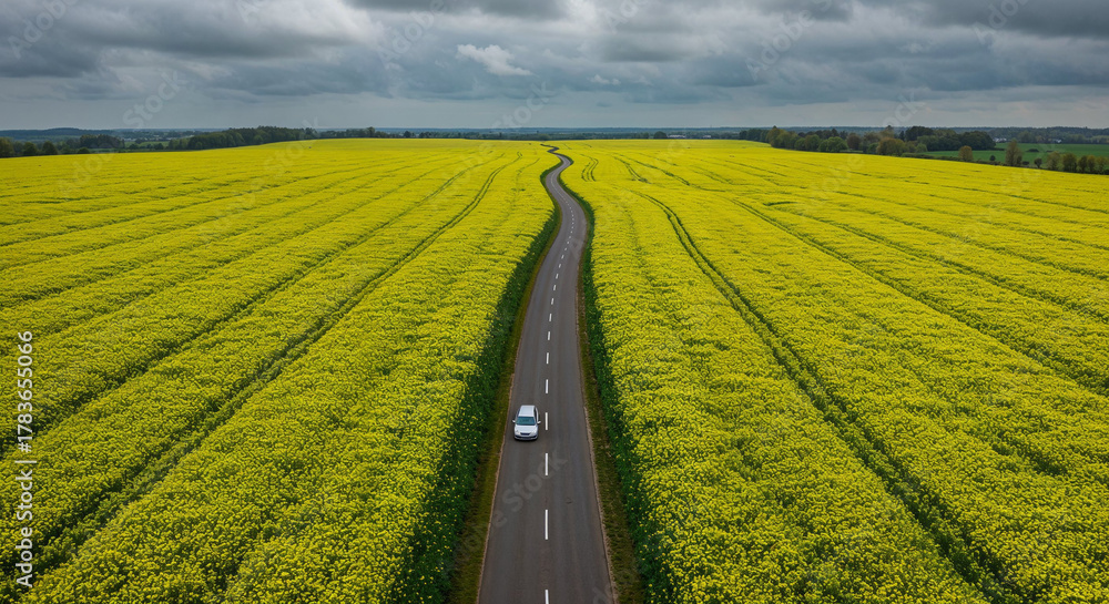 Fototapeta premium Spring Rapeseed Bloom with Rural Road Aerial Photography