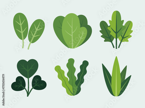 This image showcases a vibrant assortment of green leafy vegetables, emphasizing health, nutrition, and freshness, ideal for food-related content or dietary inspiration.