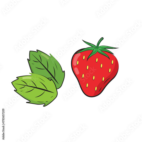 Hand Drawn Strawberry and Green Leaves on White. Outlined Summer Fruit Vector Illustration. Sketch Style Berry and Mint Leaf Clipart. doodle cartoon strawberry