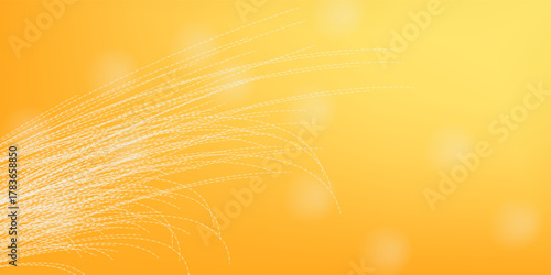 Abstract sunny sky. Bright and warm light.Sunny orange summer background