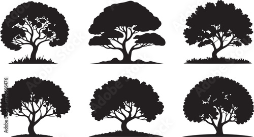 Black silhouettes of various tree types set vector illustration design nature forest pattern collection art