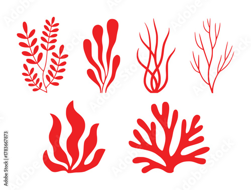 Collection of Red Seaweed and Coral Illustrations