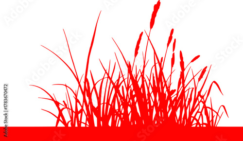 Red Silhouette of Tall Grass and Cattails Against White Background
