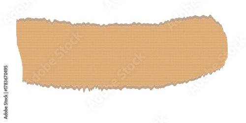 Ripped paper torn edges vector illustration. Realistic torn paper texture background. 
