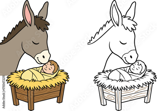 Donkey Nuzzling Baby Jesus in Manger Gentle Nativity Scene Vector Illustration