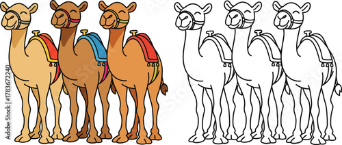 Three Happy Cartoon Camels with Saddles  Desert Animals Vector Illustration